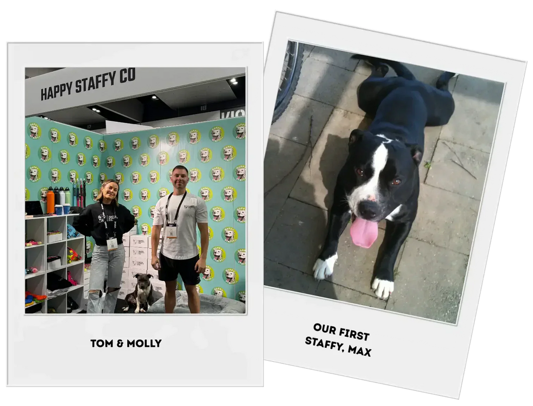 Tom and Molly, the brother and sister behind Happy Staffy Co