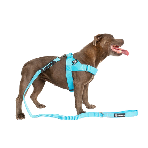 Walking gear