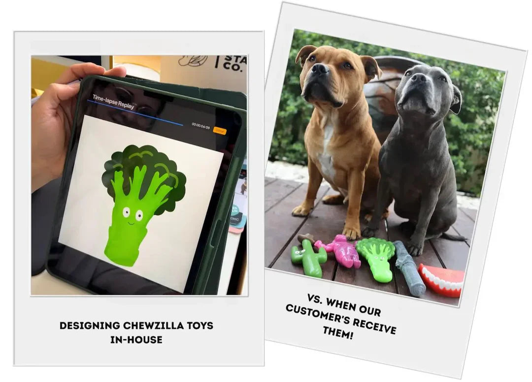 Happy Staffy Co toys under test
