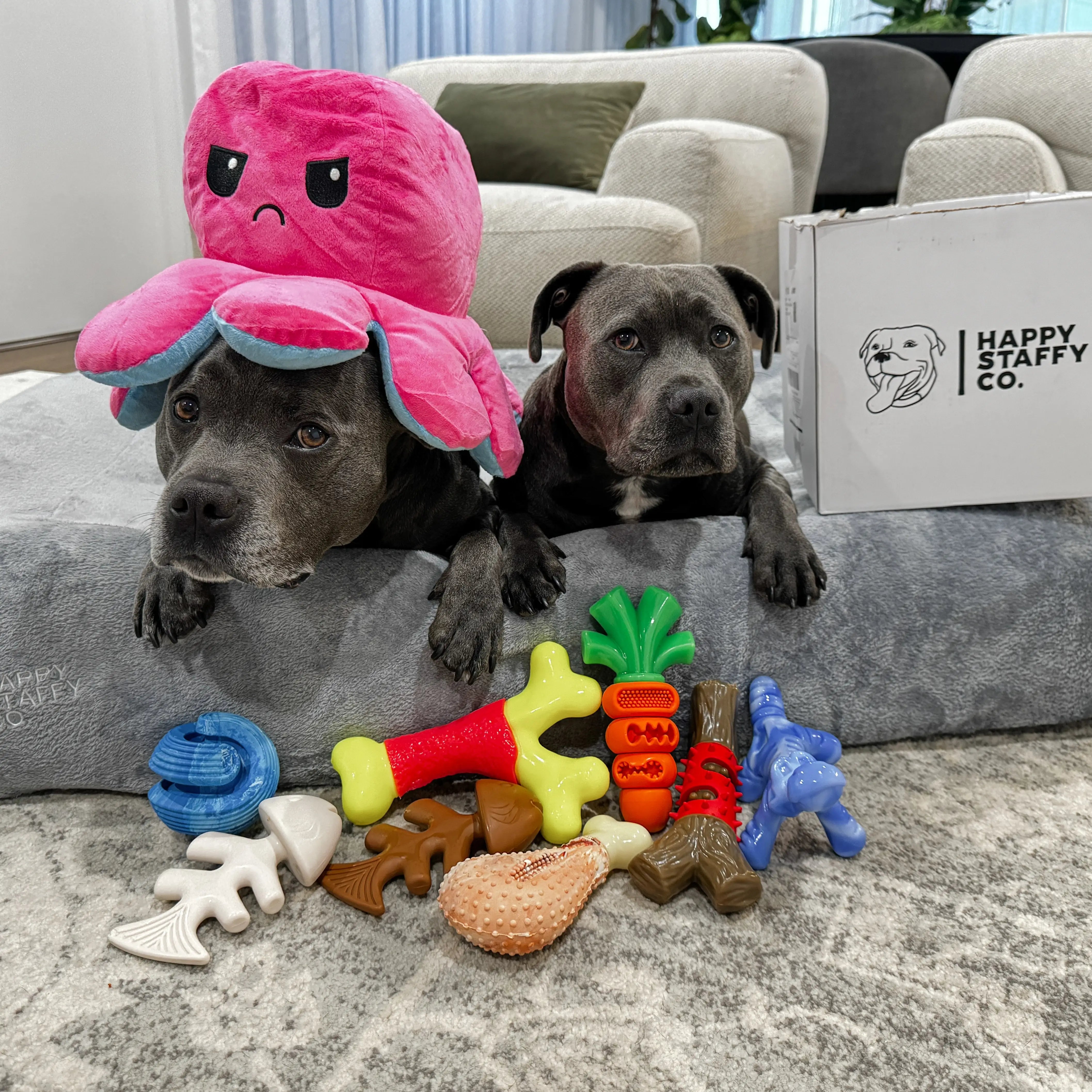 Two dogs resting with multiple toys including the Chewzilla Gator dog toy.